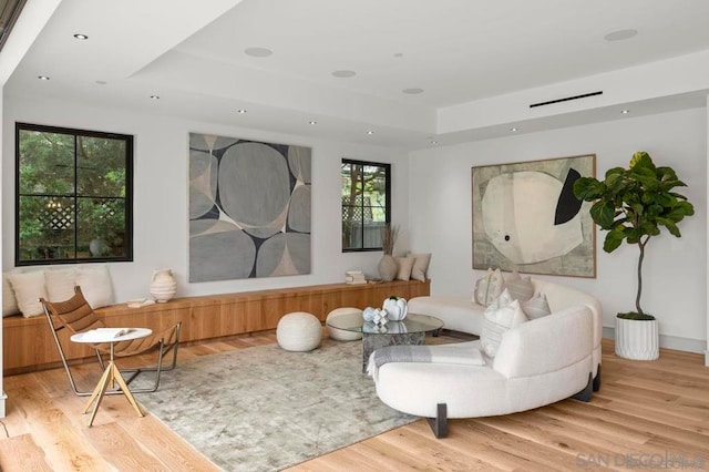 living room with a raised ceiling and light hardwood / wood-style floors