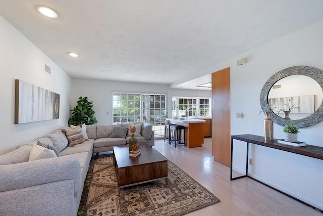 living room with light hardwood / wood-style floors