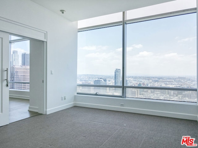 carpeted spare room with a healthy amount of sunlight