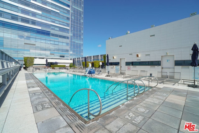 view of pool featuring a patio