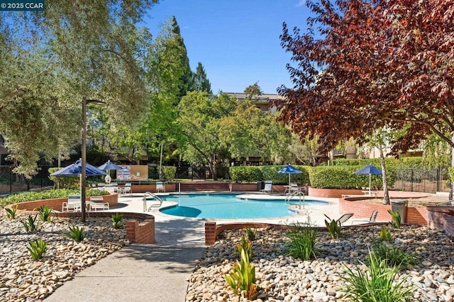 view of pool with a patio