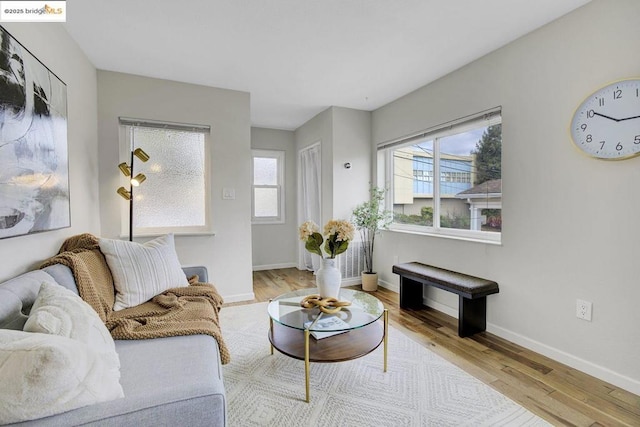 living room featuring light hardwood / wood-style floors