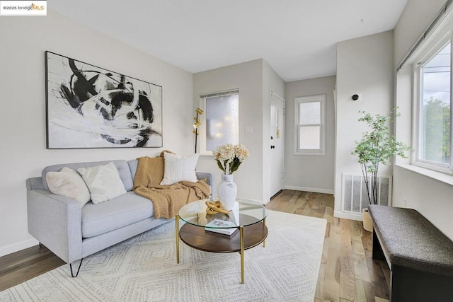 living room featuring hardwood / wood-style flooring