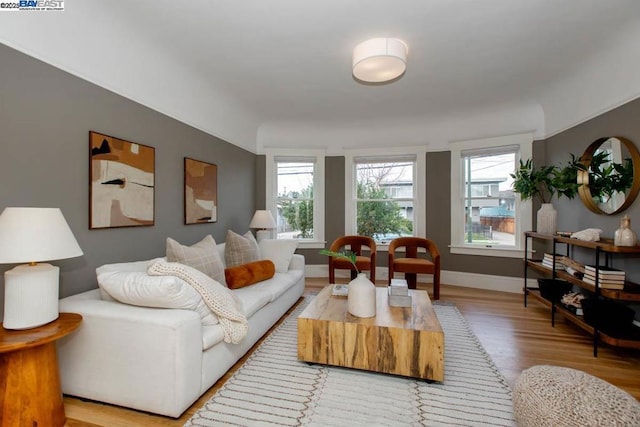 living room featuring light wood-type flooring