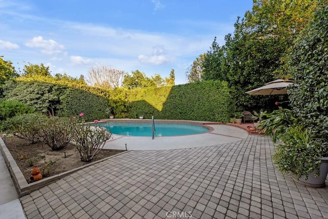 view of pool with a patio