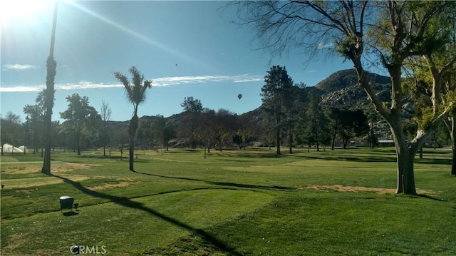 view of property's community with a lawn