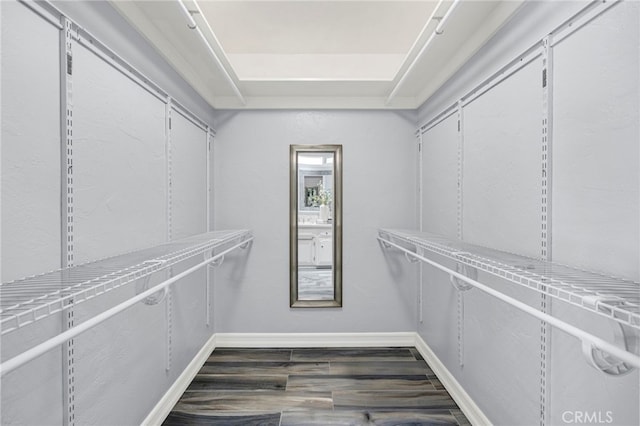 walk in closet with a tray ceiling and dark hardwood / wood-style floors