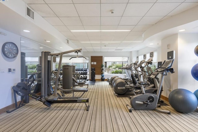 workout area featuring carpet flooring and a drop ceiling