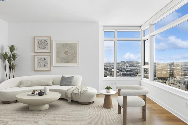 living room with wood-type flooring