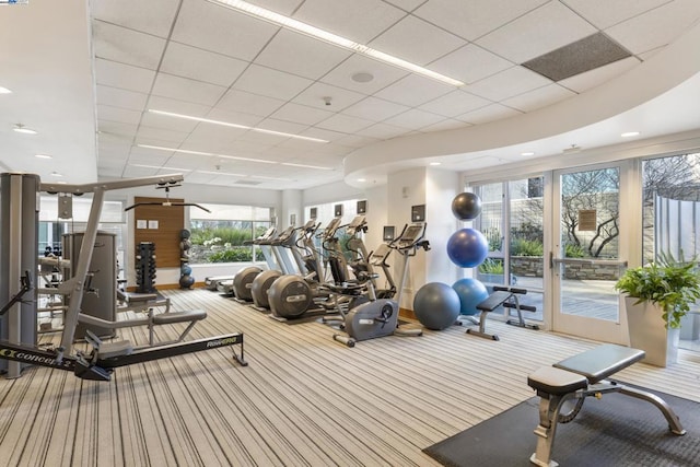 workout area featuring a paneled ceiling and carpet