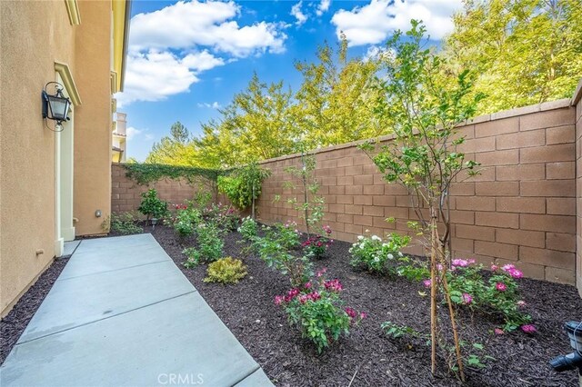 view of yard featuring a patio