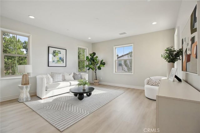 living room featuring light hardwood / wood-style flooring