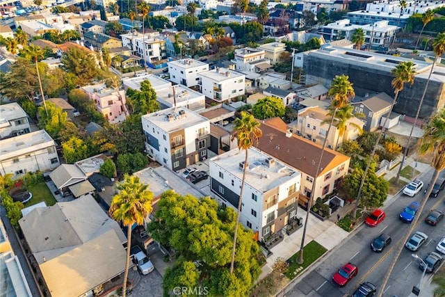 bird's eye view