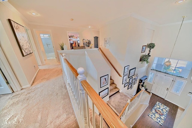 corridor featuring crown molding and carpet floors