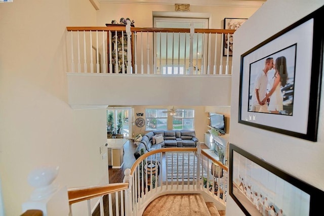 staircase featuring a towering ceiling