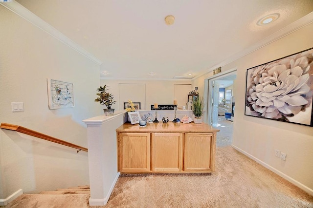 interior space featuring light carpet, ornamental molding, and light brown cabinets