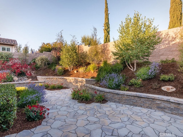 view of yard with a patio area