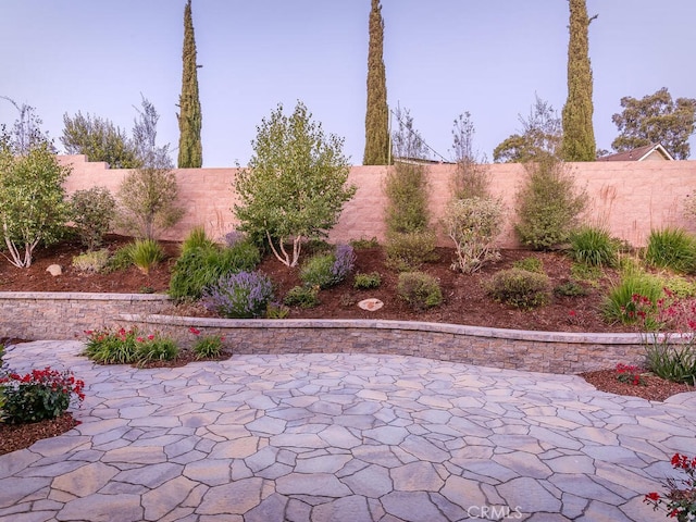 view of yard with a patio