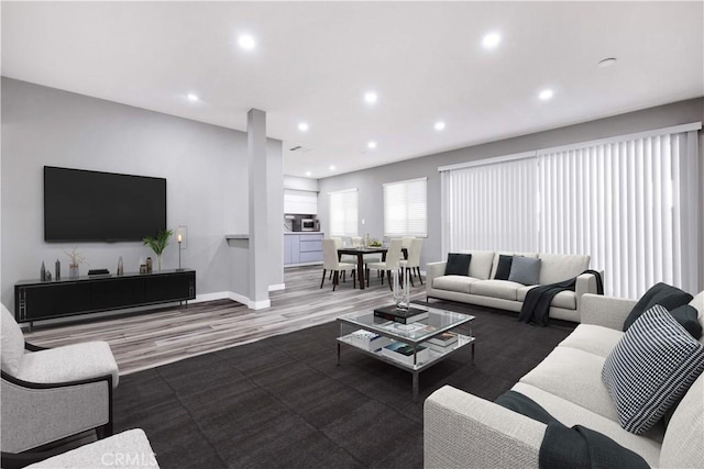 living room featuring wood-type flooring