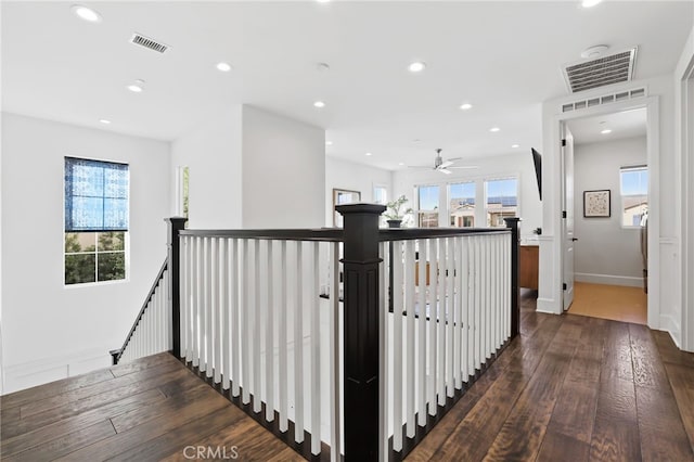 hall featuring a wealth of natural light and dark wood-type flooring