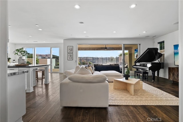 living room with dark hardwood / wood-style flooring