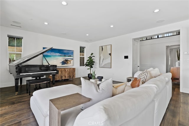 living room featuring dark hardwood / wood-style floors