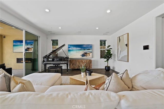 living room with wood-type flooring