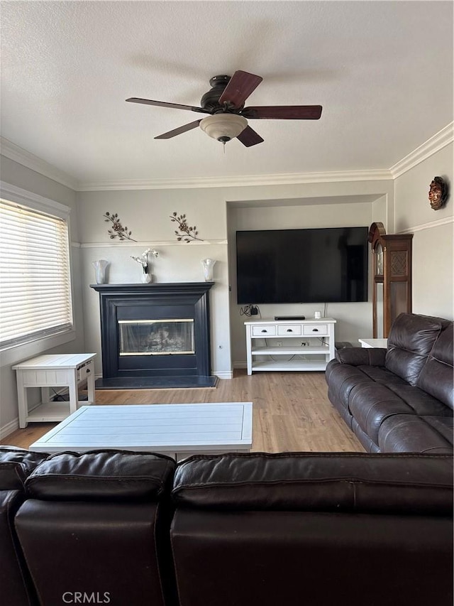 living area featuring a glass covered fireplace, ceiling fan, wood finished floors, and crown molding