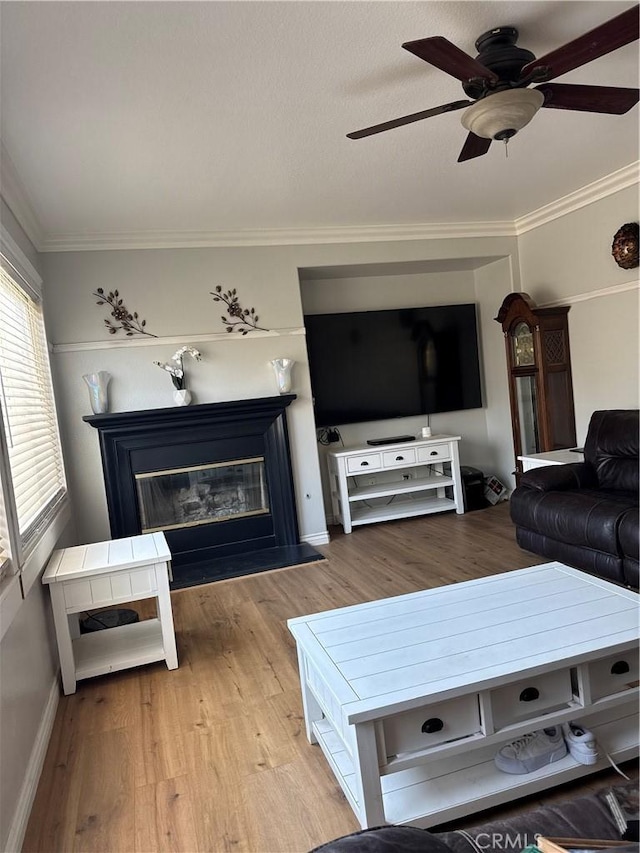 living room featuring light hardwood / wood-style flooring, ornamental molding, and ceiling fan