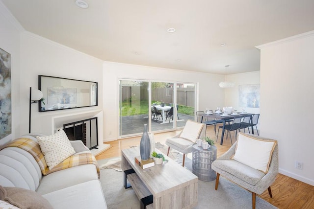 living room featuring ornamental molding and light hardwood / wood-style flooring