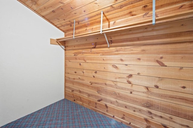 walk in closet featuring carpet flooring