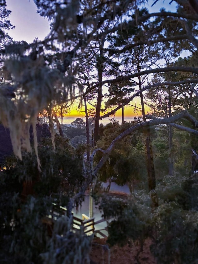 view of nature at dusk