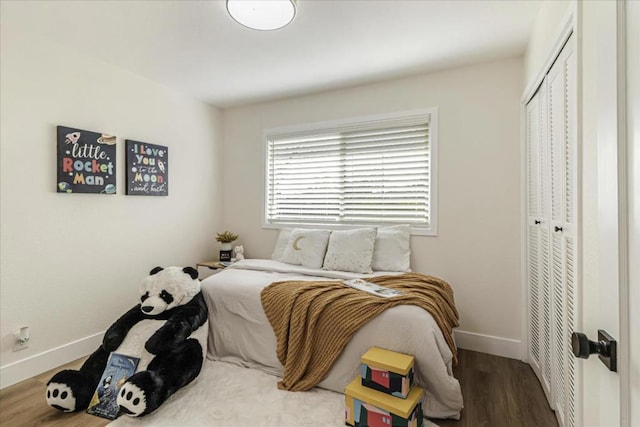 bedroom featuring wood-type flooring and a closet