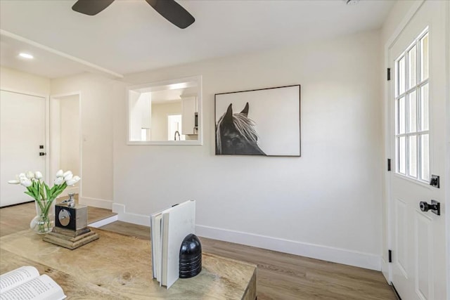 interior space with ceiling fan and wood-type flooring