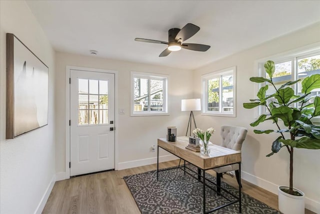 office with ceiling fan and light hardwood / wood-style flooring