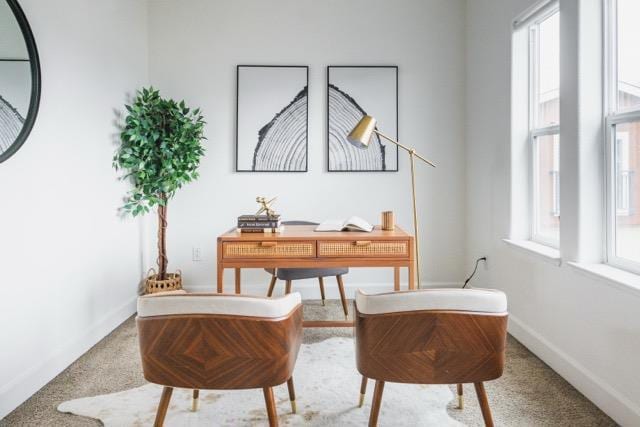 sitting room featuring carpet flooring