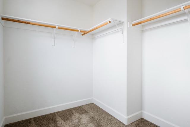 spacious closet with carpet