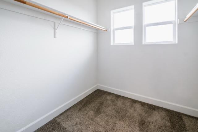 walk in closet featuring carpet floors