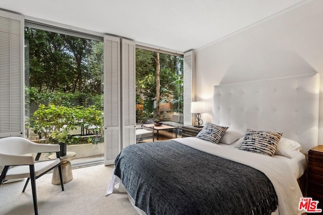 carpeted bedroom with expansive windows and access to exterior