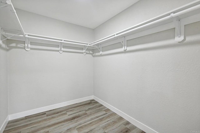 walk in closet featuring wood finished floors