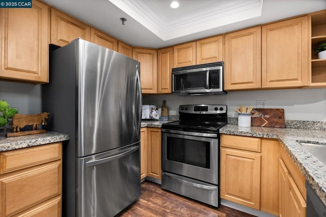 kitchen with dark hardwood / wood-style floors, a raised ceiling, ornamental molding, light stone counters, and stainless steel appliances