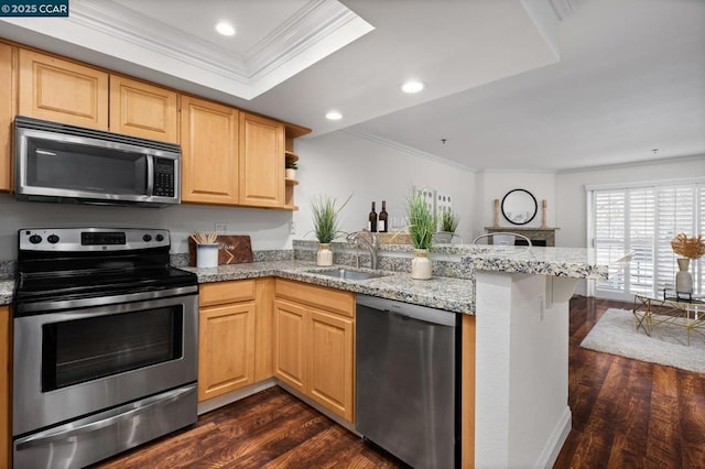 kitchen featuring sink, crown molding, stainless steel appliances, and kitchen peninsula