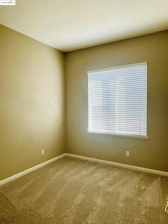 unfurnished room with carpet flooring