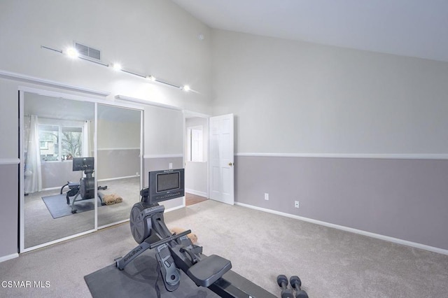 exercise area featuring high vaulted ceiling and carpet floors