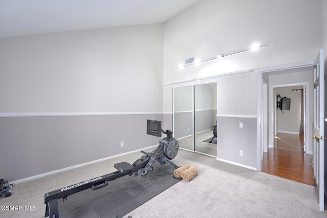 workout area featuring lofted ceiling and carpet floors