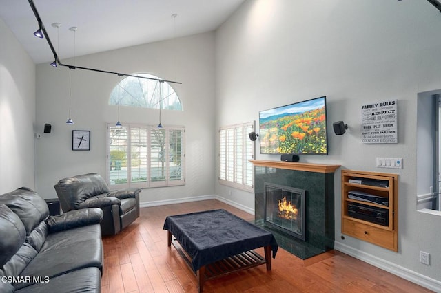 living room with hardwood / wood-style flooring, a high end fireplace, and high vaulted ceiling