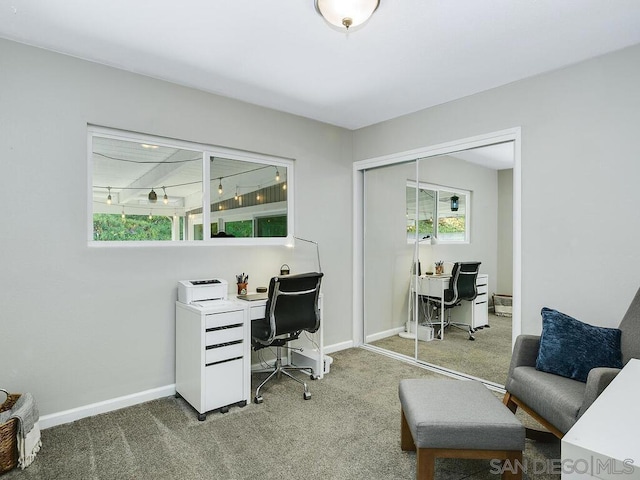 office featuring carpet floors