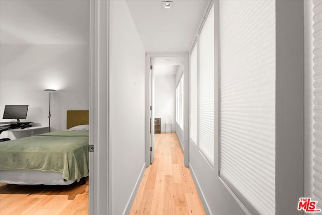 hall featuring light hardwood / wood-style floors