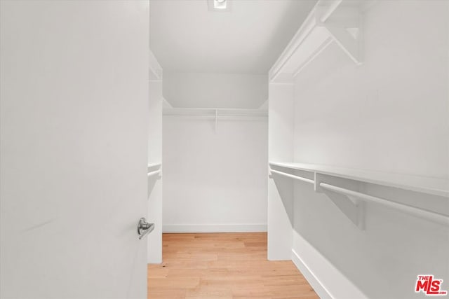 walk in closet featuring hardwood / wood-style floors