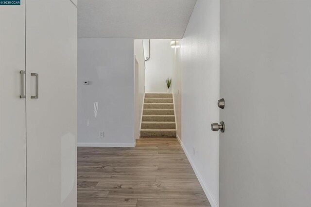 staircase with hardwood / wood-style floors